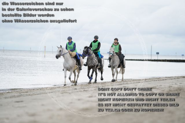 s_K3F04731.JPG